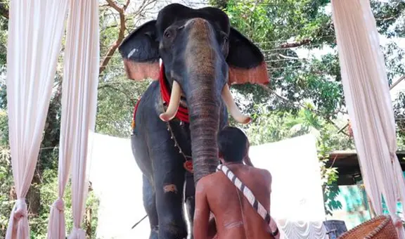 Templo hindú usa elefante robótico para evitar el maltrato animal y la caza furtiva