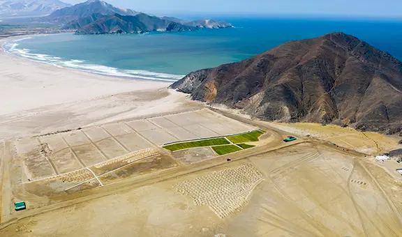 Terrenos para casas de playa en Casma se revalorizan en 50%