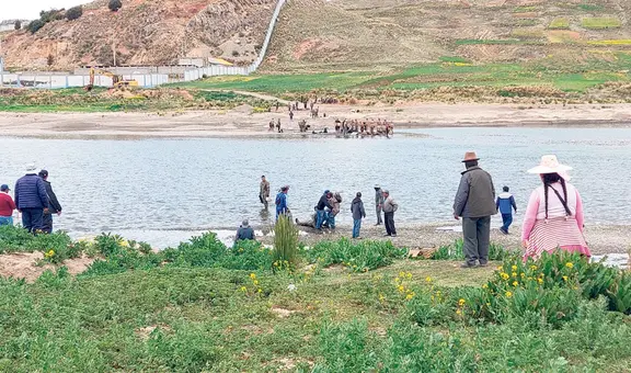 Puno: soldado fallece ahogado cuando patrulla militar cruzó el río Ilave