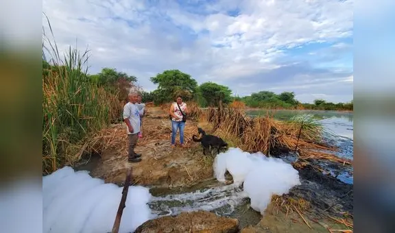 Piura: denunciaron colapso en  las lagunas de oxidación