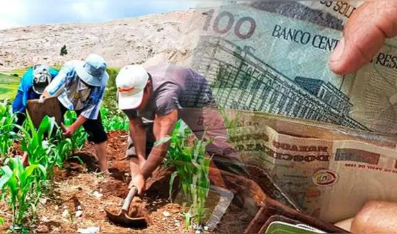 Fertiabono: más de 600.000 productores son beneficiados con el apoyo monetario