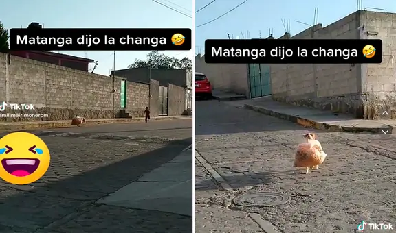 Perrito huye a toda velocidad tras llevarse una bolsa llena de cocoliche de un puesto