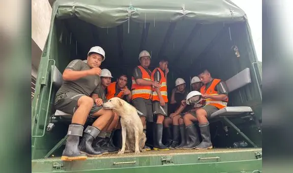 Militares rescatan a "Brenda", una perrita alcanzada por el desborde de río en Lambayeque