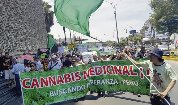 Reglamento del Minsa no beneficia a los usuarios del cannabis medicinal