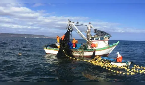 Proponen que trabajadores del sector pesca accedan a una jubilación anticipada