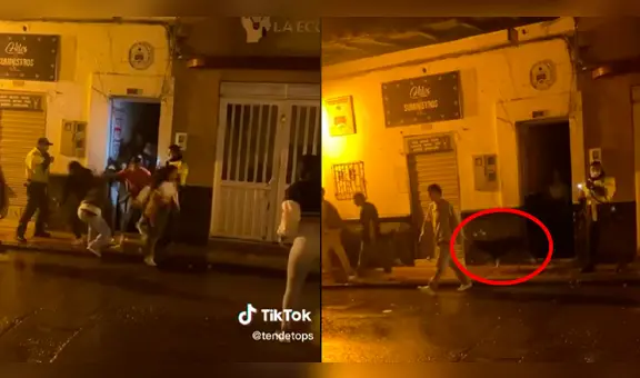 Policía interviene local y descubre a un perro en la fiesta: "Firulais tiene más vida fiestera que yo"