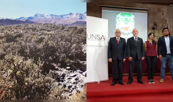 Queñuales de Arequipa albergan más de 110 especies de animales vertebrados