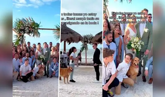 Dueño contó cómo invitaron a su perrito a boda y a él no: "tiene más vida social que yo"
