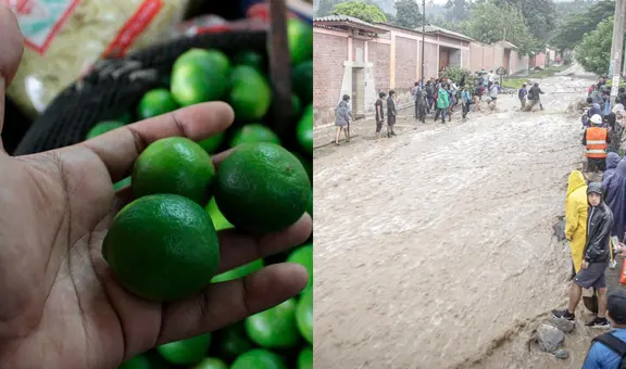 Precio del limón alcanza los S/14 tras fuertes lluvias que afectan la producción en el norte