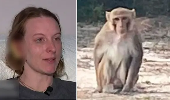 Mono ‘mascota’ ataca a mujer y le parte la oreja en 2: animal descontrolado fue asesinado