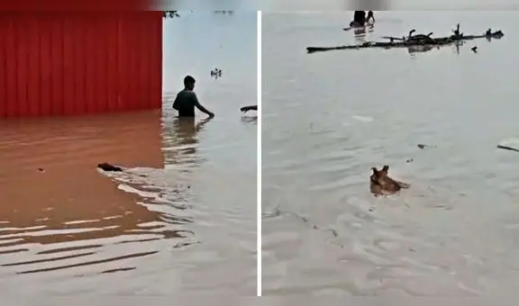Lluvias en el norte: hallan cuerpos de víctimas de huaicos en Piura y Áncash
