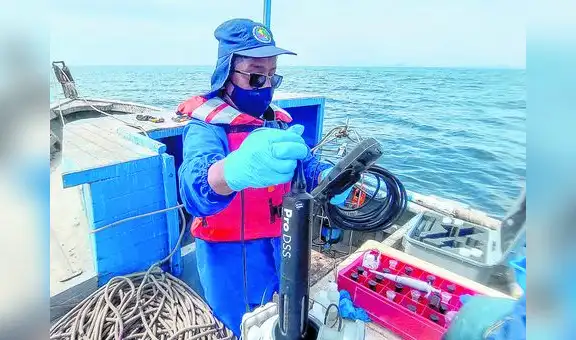 Enfen: ¿Nos aproximamos a un nuevo Niño costero?