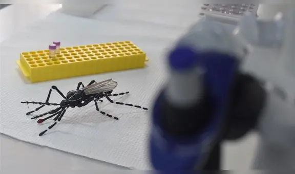 Más de 3.000 casos de dengue en medio de lluvias en Piura