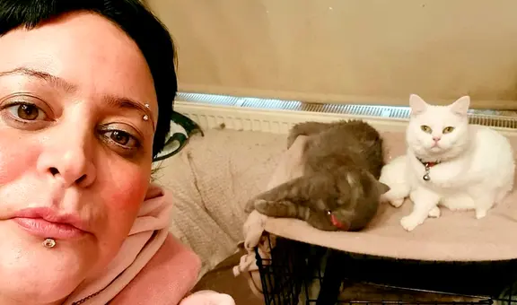 Tras quedarse sin trabajo, mujer asegura comer una vez por semana para poder mantener a sus gatos