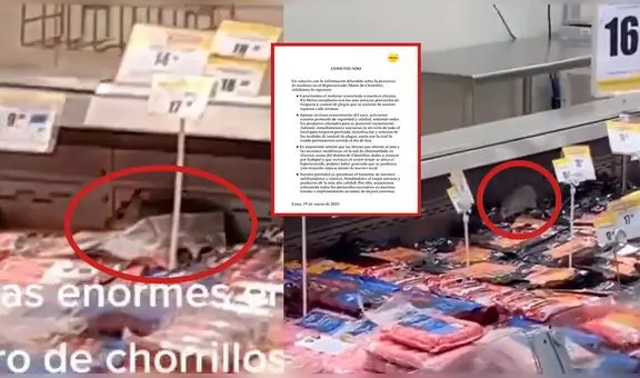 Metro asegura que presencia de roedores en su sede se debería a falla en alcantarillado por huaicos