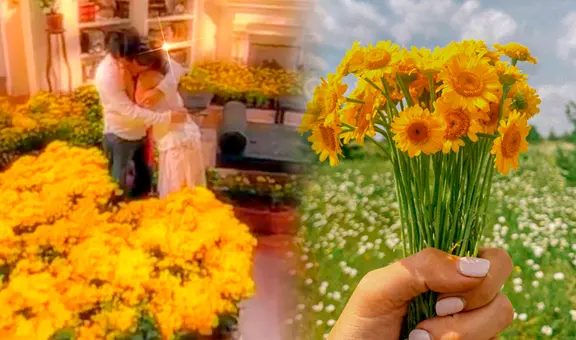 Flores amarillas: ¿por qué se regalan HOY 21 de marzo y qué significan?