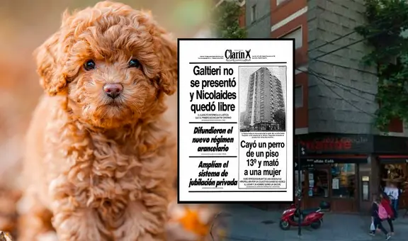 La insólita historia del perrito que cayó del piso 13 y provocó 3 muertes en Argentina