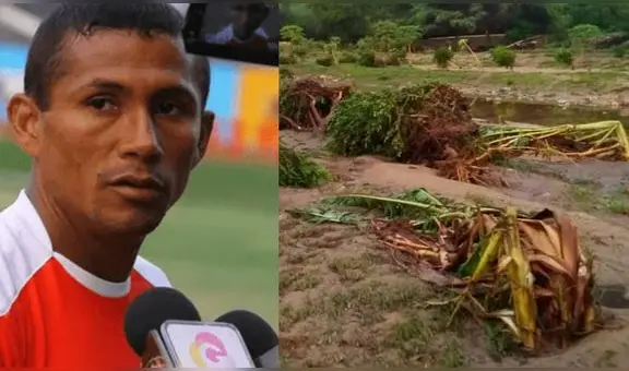 "Solo queda rogar": cultivos de 'Periquito' Chiroque y su padre son afectados por lluvias en Piura