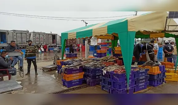 Trujillo: pescado subiría de precio porque alta temperatura del mar aleja especies