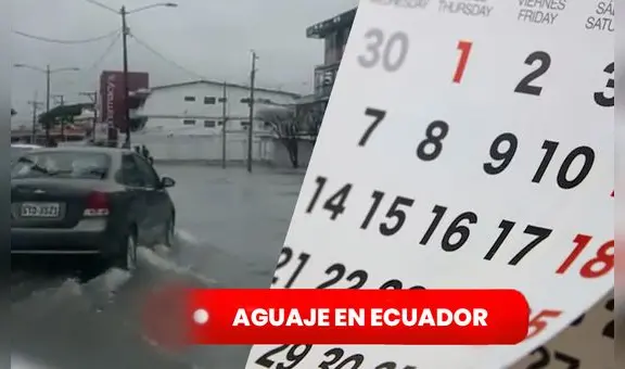 Aguaje en Ecuador 2023: ¿cuáles son los días que será afectada la costa ecuatoriana por este fenómeno?