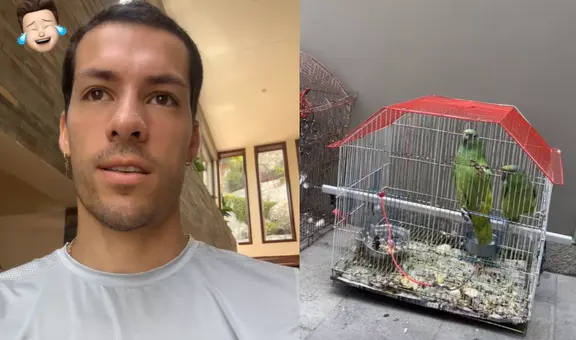 ‘Pato’ Parodi presume a los loritos que rescató su papá: “A ver, háblenme”