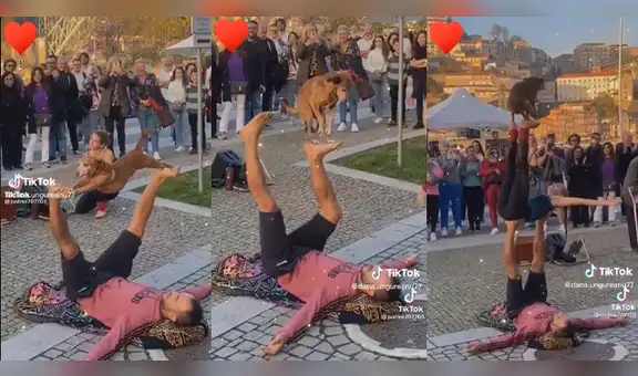 Perrito hace rutina de yoga con humanos y sorprende a usuarios: "Se ve que a él le gusta"