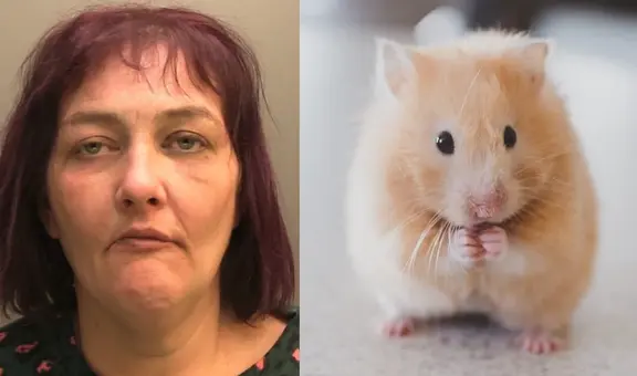 Por torturar y comerse a un hámster que tenía como mascota, mujer fue condenada a prisión