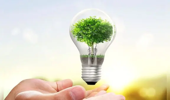 No gastes luz en vano: estos son los electrodomésticos que debes desenchufar para reducir tu consumo