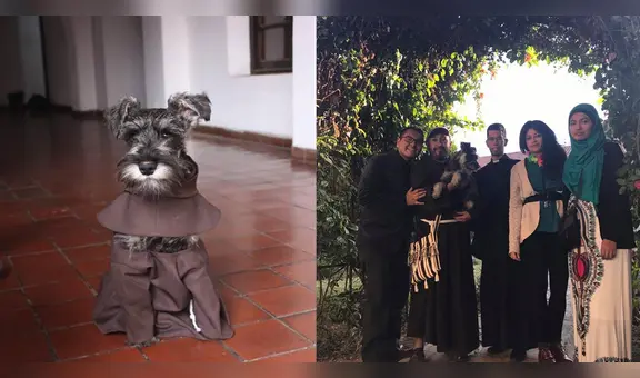 “Fray Bigotes”: monjes adoptan a perrito que fue abandonado y se hace viral en redes sociales