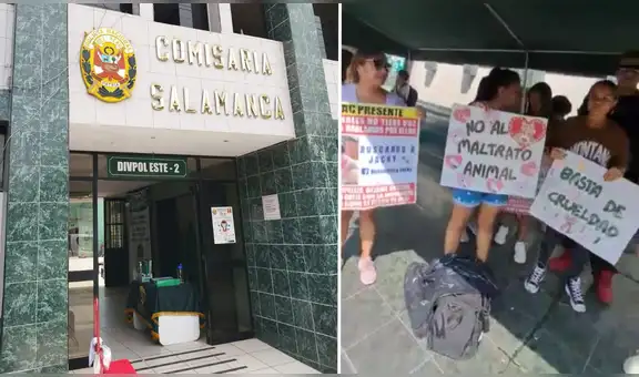 "Hay videos y audios desgarradores": vecinos denuncian tortura de 16 perros en una casa de Ate