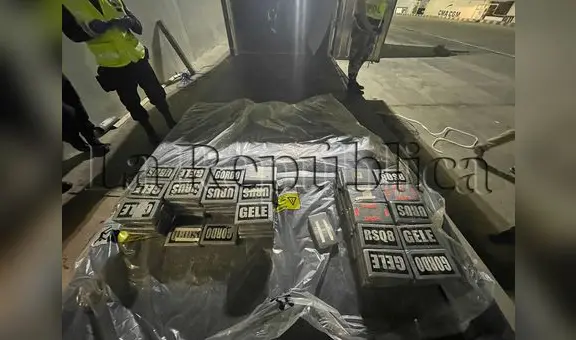 Piura: incautan 200 kilos de cocaína camuflada en cargamento de paltas, cuyo destino era Holanda