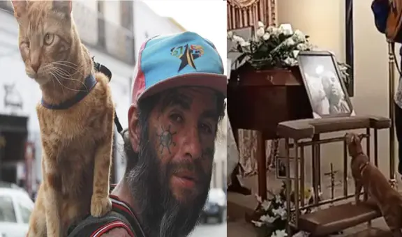 La historia del indigente que quiso a un gatito callejero hasta su muerte: “Amor eterno”