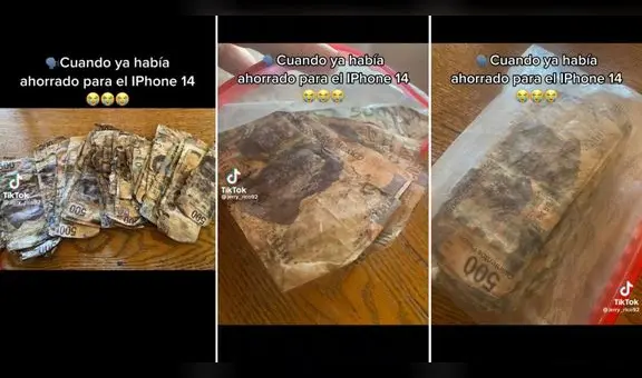 "Mis ahorros": joven perdió dinero que había enterrado por dos meses para comprarle un iPhone a su novia