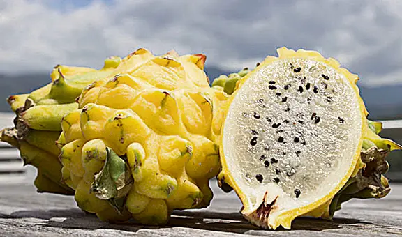 Pitahaya y fresas rumbo al top 10 de las agroexportaciones