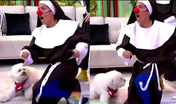 Katia Palma pasó gran susto al ser mordida por perrita de Fernando Díaz en vivo