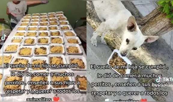 Niña se hace viral por cumplir su sueño: alimentar a decenas de perritos callejeros