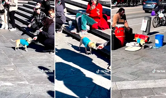 Trabajo en equipo: músico callejero canta y su perrito cobra las propinas que el público le regala
