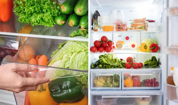 ¿Cuál es la forma correcta de distribuir los alimentos en el refrigerador para que duren más tiempo?