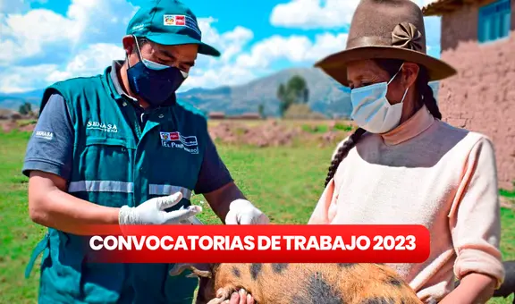 ¿Buscas trabajo? Senasa brinda empleos con sueldos desde 2.064 soles