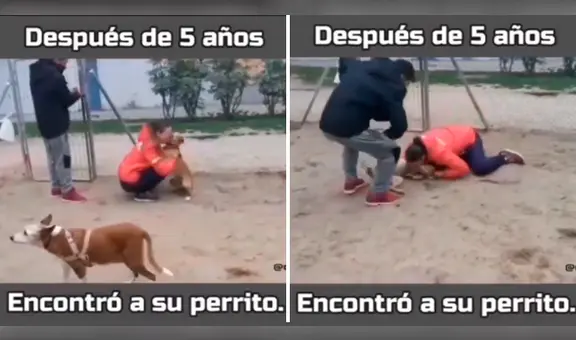 Mujer enternece las redes al hallar a su perro luego de 5 años: "Se me hizo un nudo en la garganta"