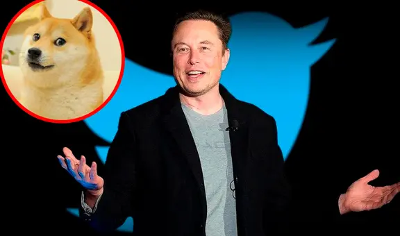 Doge invade Twitter: ¿por qué Elon Musk ha incluido al popular meme en su red social?