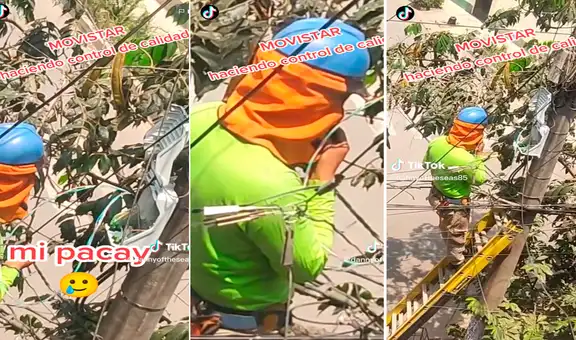 Técnico de Movistar sube a árbol de pacay a conectar cables y aprovecha para comerse los frutos