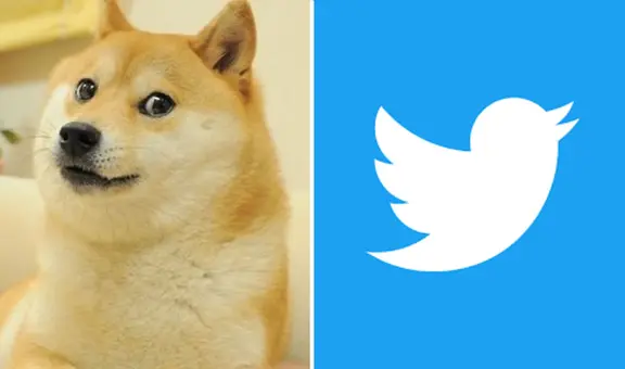 ¿Quién es el perrito 'Doge', la mascota que ahora es el logo de Twitter?