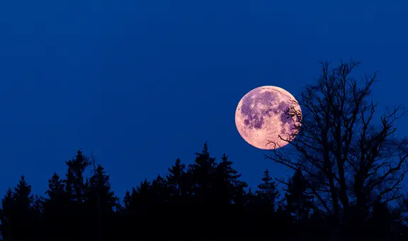 Luna rosa 2023: a qué hora se ve la luna llena de abril y por qué se llama así