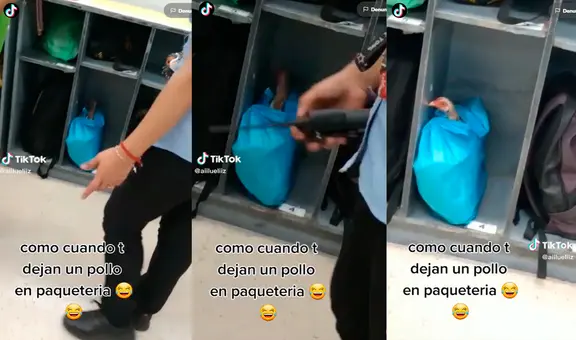 Seguridad de establecimiento queda en shock al ver que dejaron un pollo vivo en paquetería