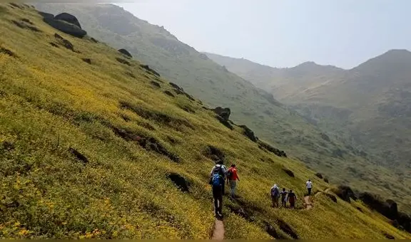 SJL: denuncian que traficantes de terreno invadieron 400 hectáreas de lomas de Mangomarca