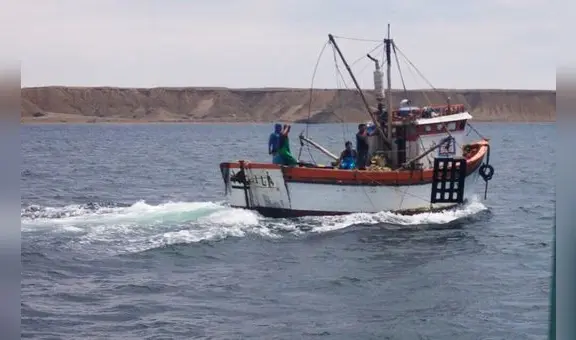 Produce estableció en 440 toneladas el límite de captura de  tiburón martillo para el 2023
