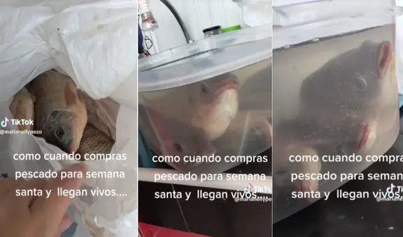 Compra pescados por Semana Santa, pero al llegar a casa descubre que están vivos: “Si estaban frescos”