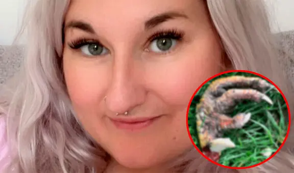 Pareja encuentra una extraña garra en el jardín de su casa: “Nos pareció prehistórico”