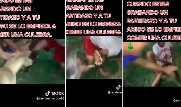 Serpiente ataca a joven en plena pichanga: "Para que sientas la presión"